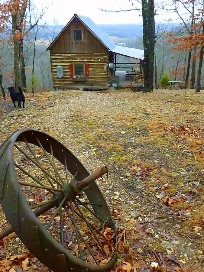 Rock Eddy Bluff Farm Cabins Dixon Dış mekan fotoğraf
